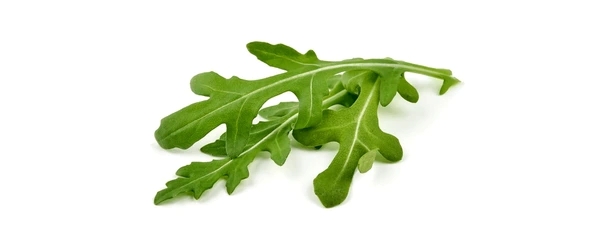 Arugula (Rocket)