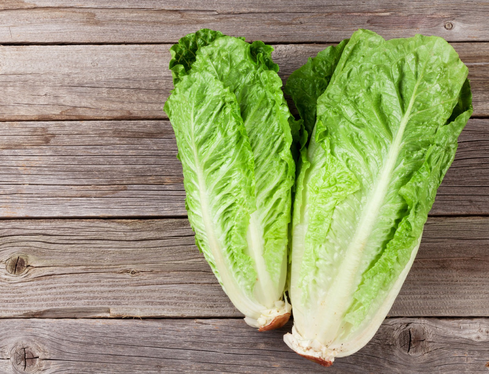 Romain Lettuce