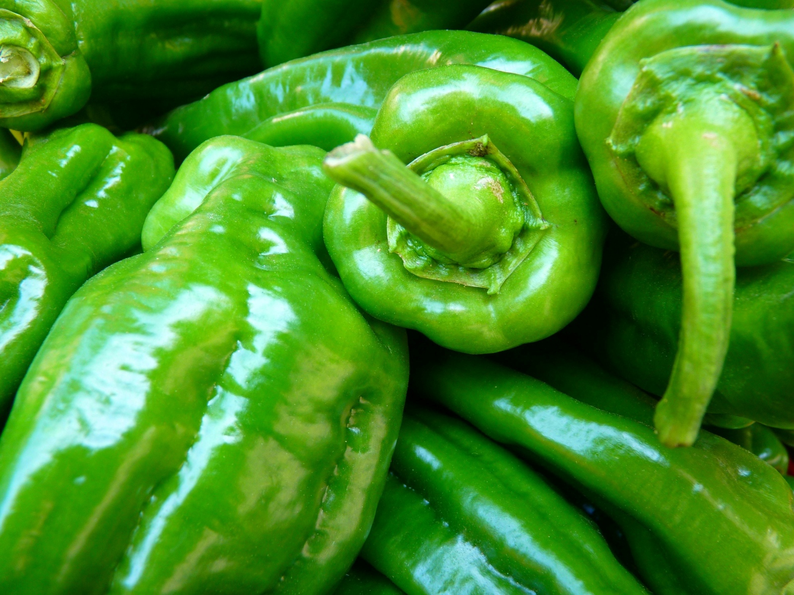 Green Chilli Pepper