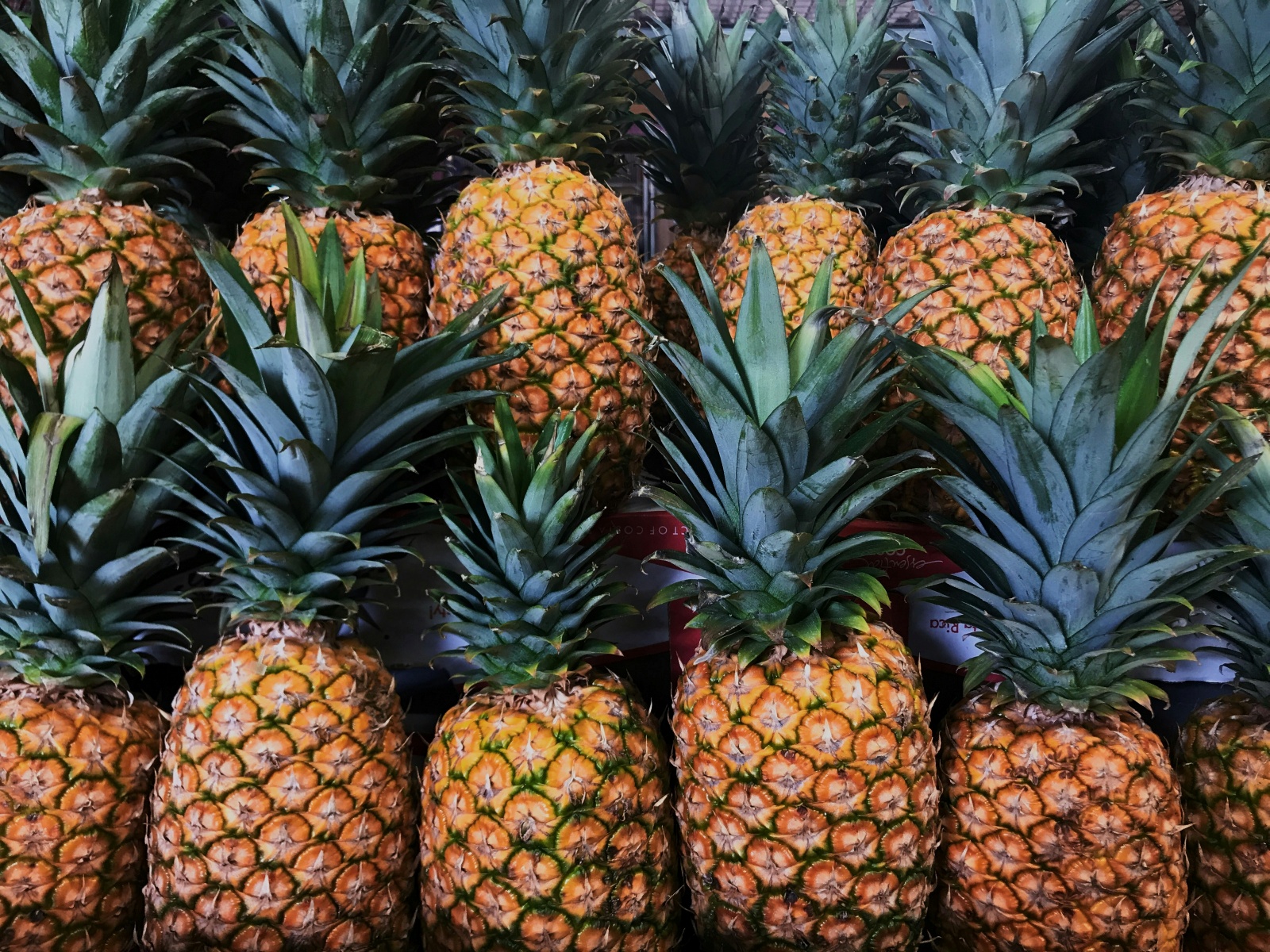 Pineapple