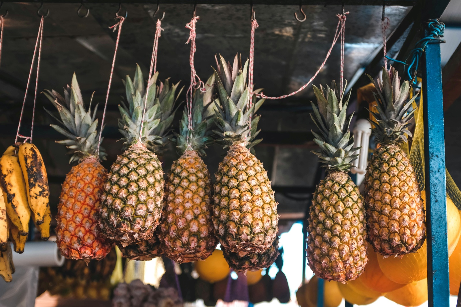 Pineapple