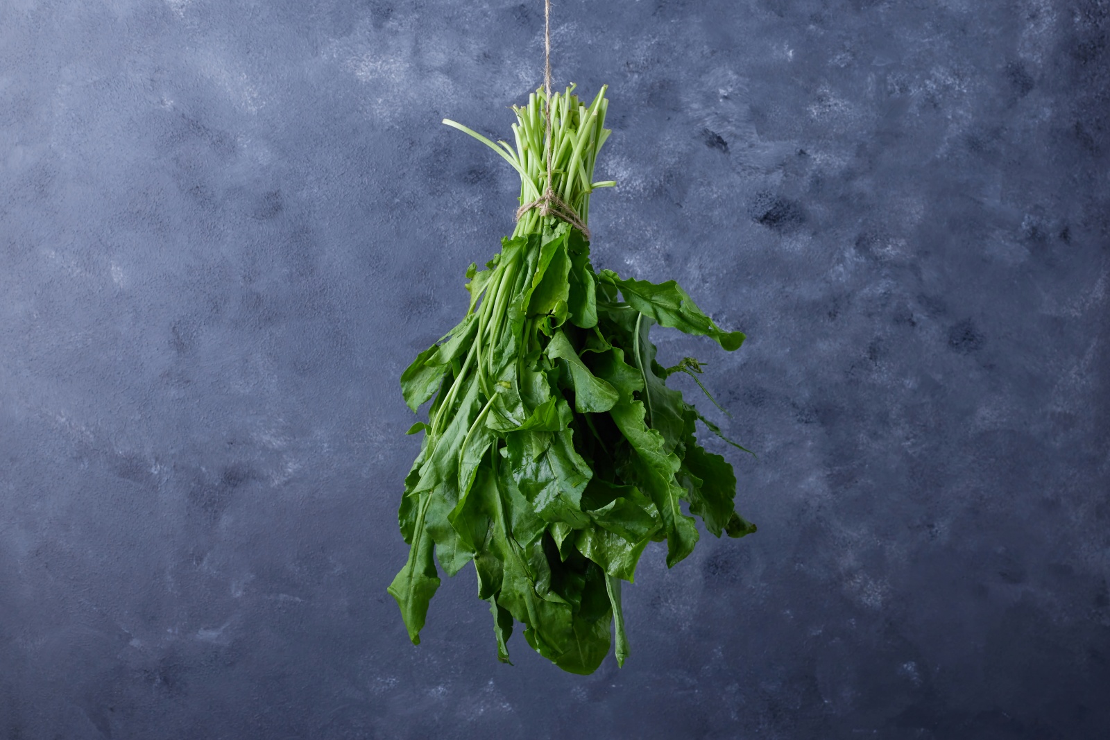 Rocca Leaves