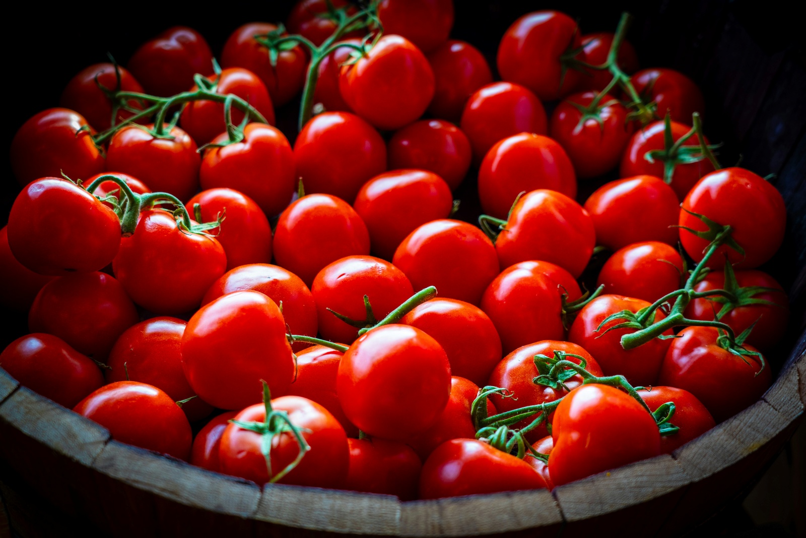 Tomatoes