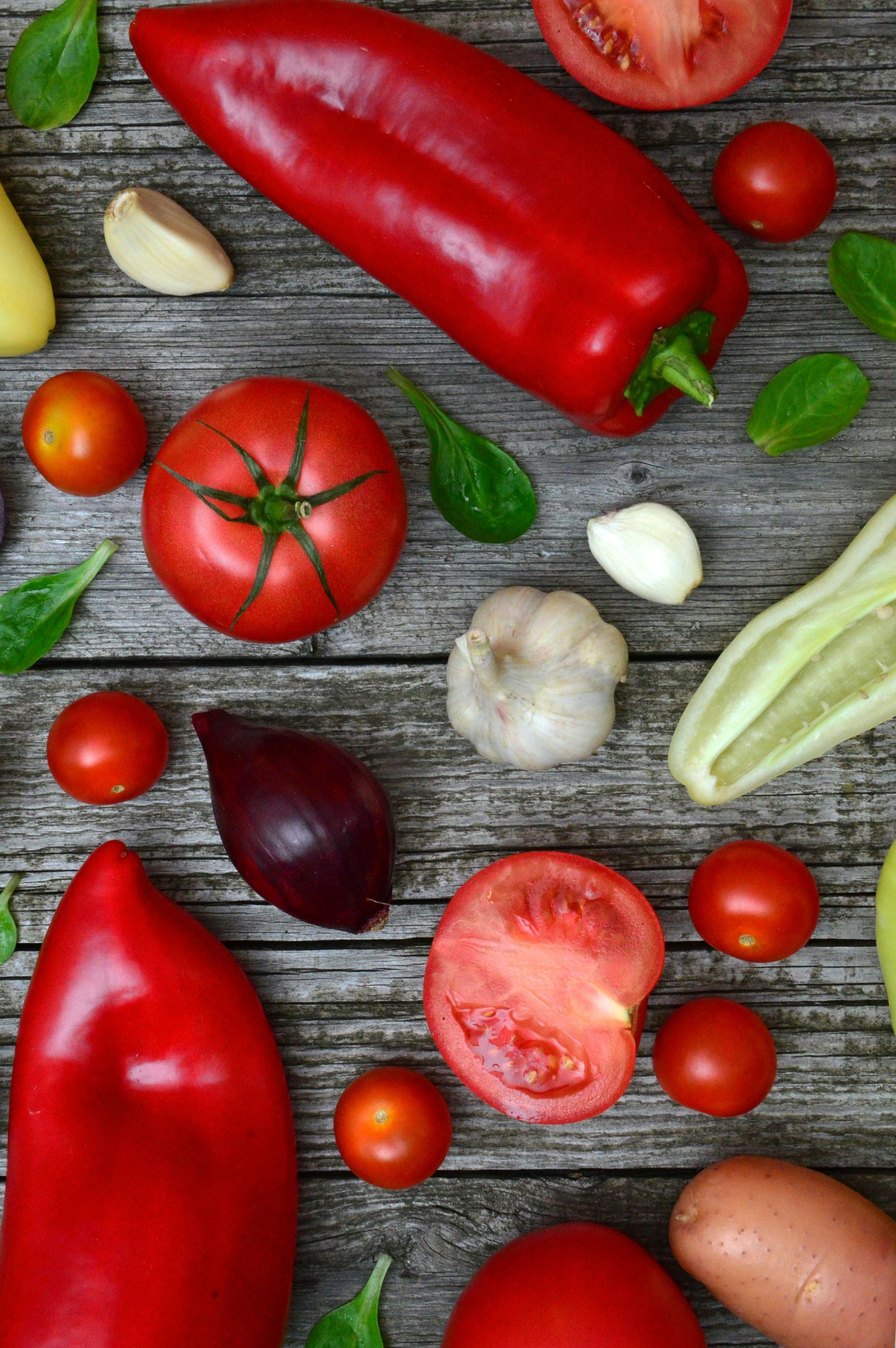 Partner with Terra Foods