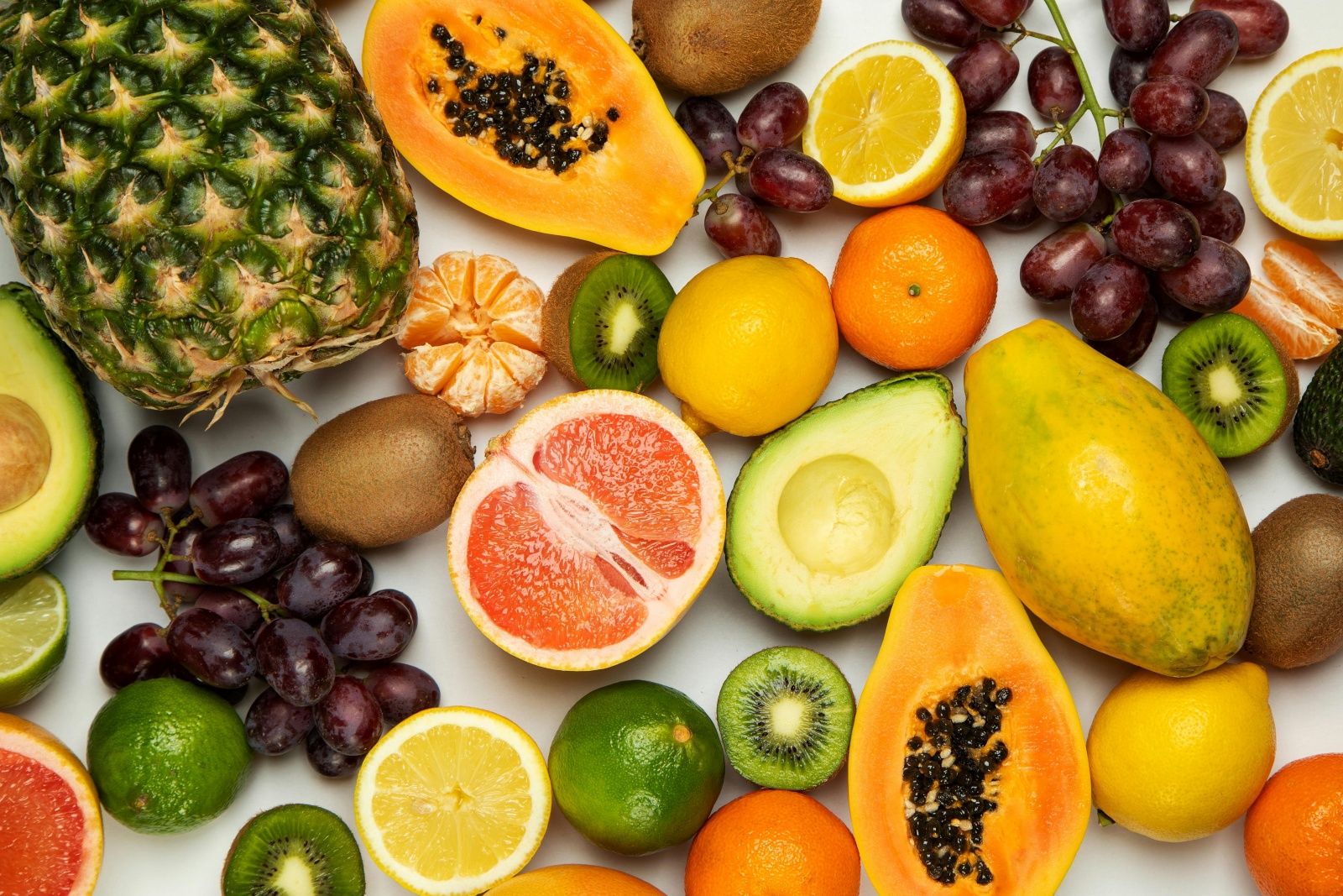 Support Employee Wellness